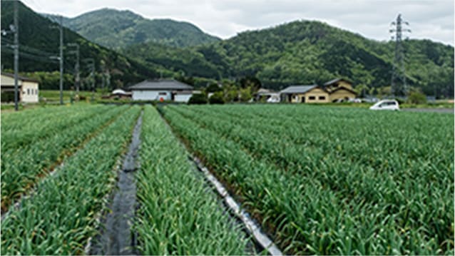丹波農場（兵庫県）
