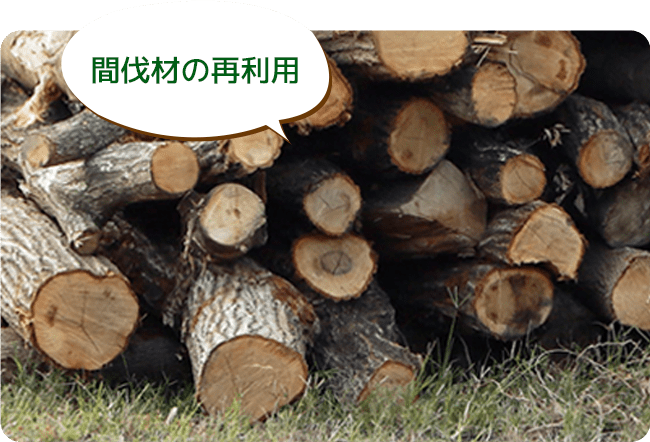 間伐材の再利用