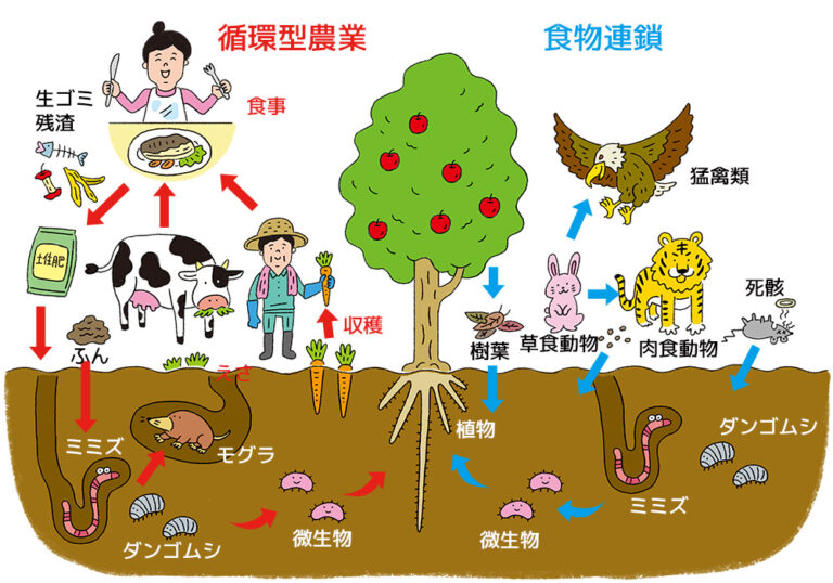 自然の”循環”が育む土 ｜ ワタミオーガニック公式サイト